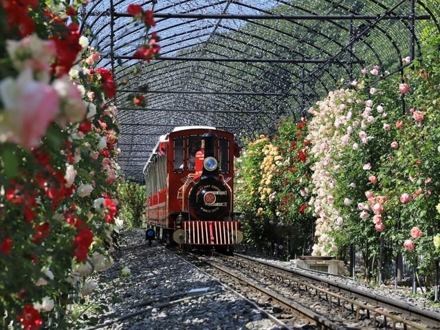 🌹 로잔베리 다와다(ローザンベリー多和田) 이미지 1